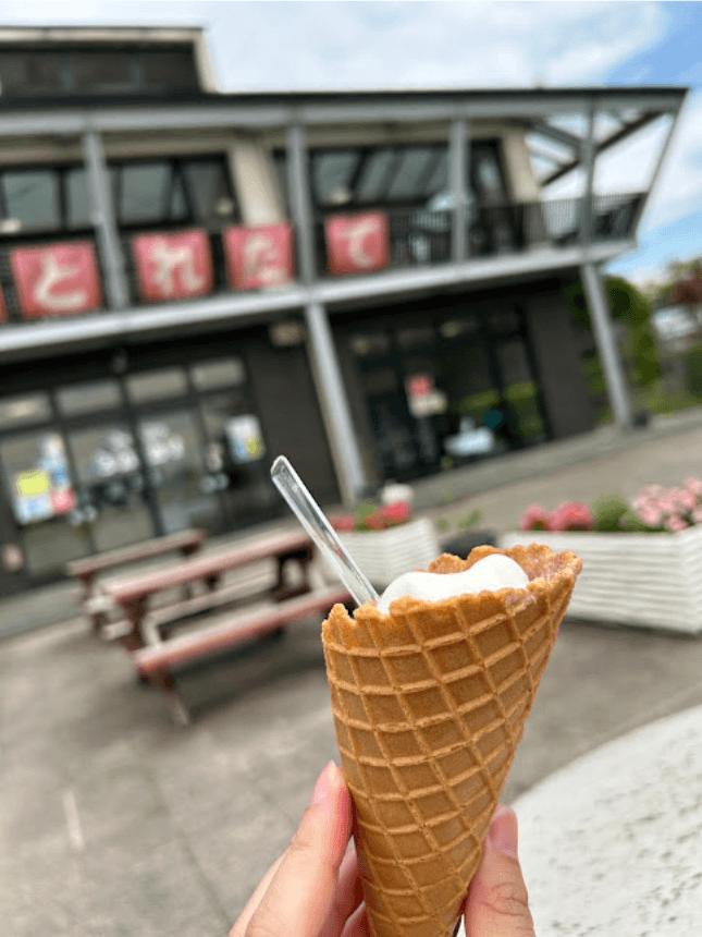 サイクリング　ランチ